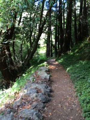 Partington Cove trail
